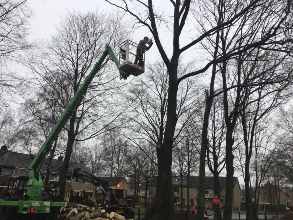 2024.08.21 - customer pictures (5)